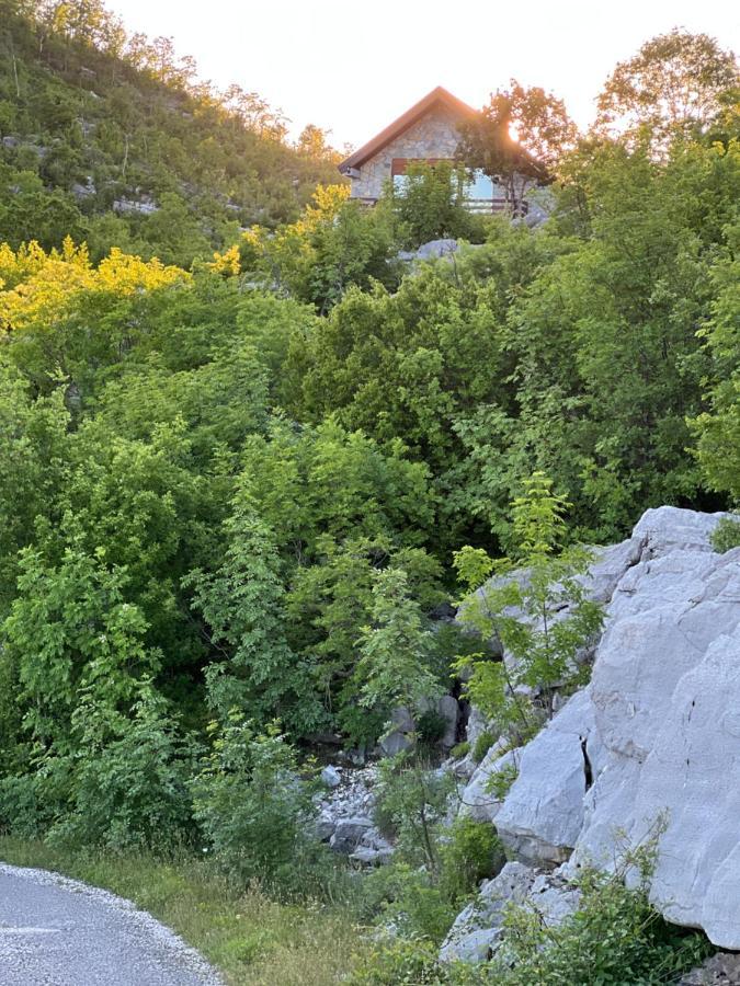 House On The Hill Villa Cetinje Luaran gambar